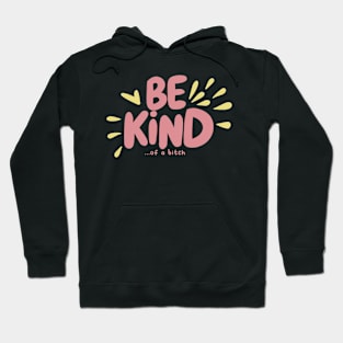 Be Kind Of A Bitch Funny Sarcastic Quote Hoodie